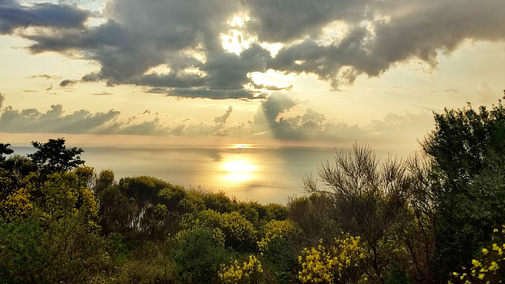 Photo of the view as seen from the resort showing vegetation, the ocean, and a cloudy sky