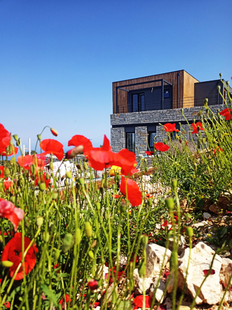 Photo of the master residence from the south through some red poppies